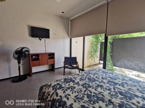 Estudio Lalo Temozón Mérida Burea
